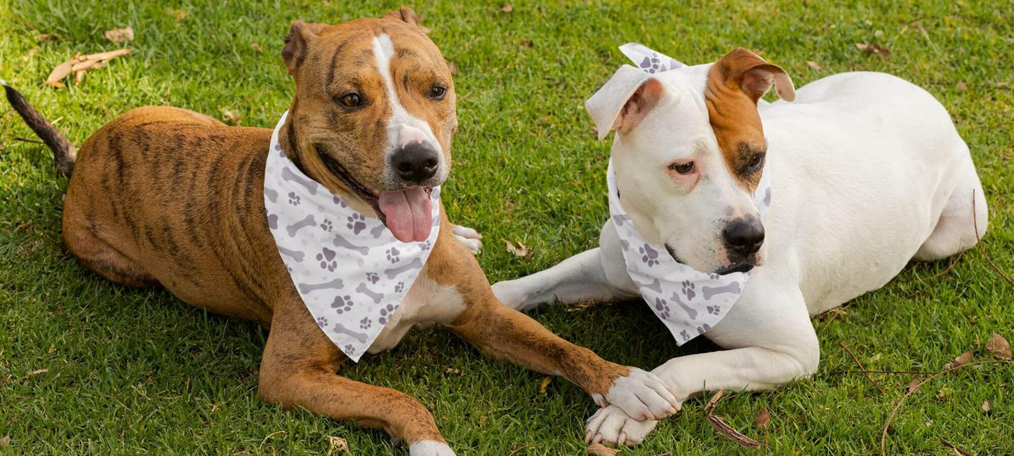 Pet Apparel
