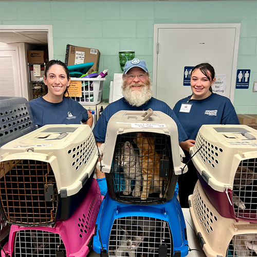 Anderson Humane logo, the South Elgin, Illinois animal shelter and rescue nonprofit
