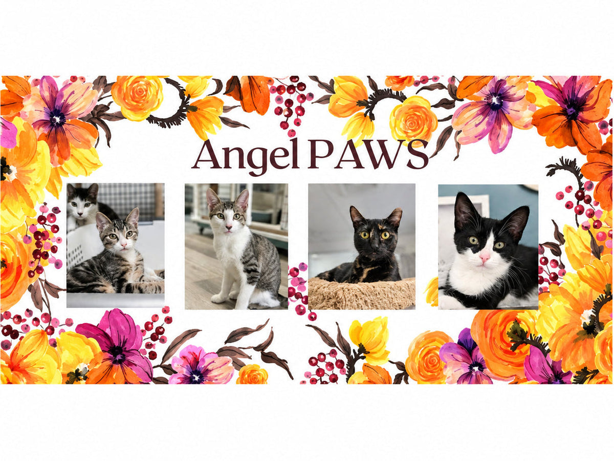 Angel PAWS (Angel Pets Animal Welfare Society)