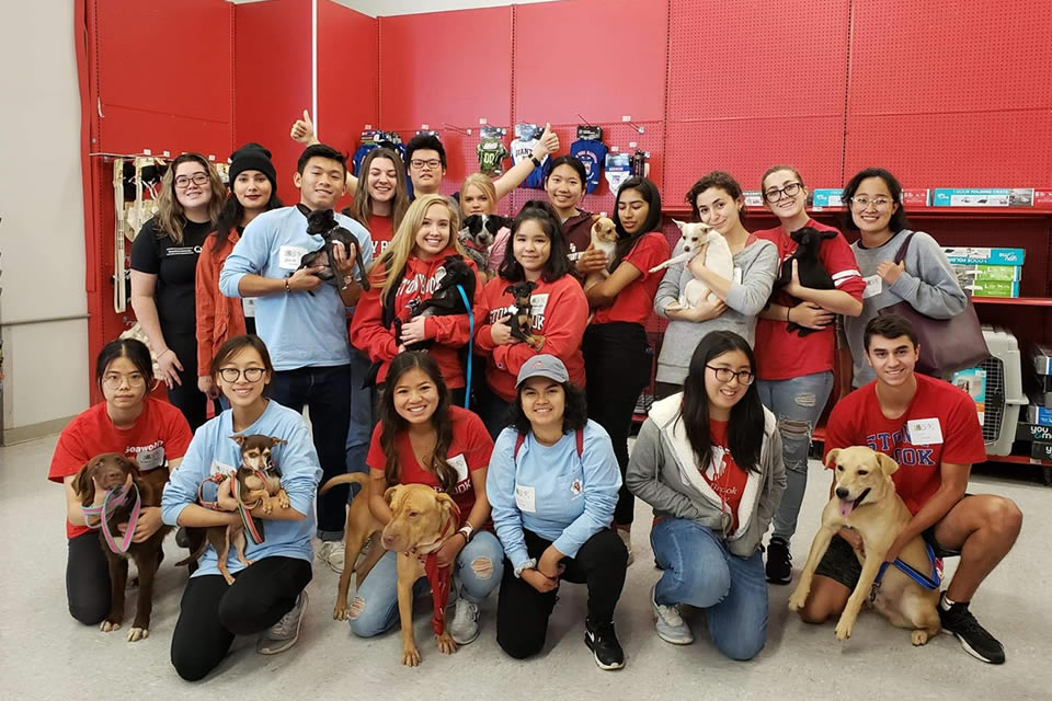 Volunteer with a rescue dog at Ruff House Rescue, Long Island's largest foster-based animal rescue nonprofit