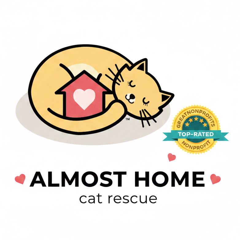 A digital graphic logo for 'Almost Home cat rescue' featuring a cartoon sleeping yellow cat curled up around a pink house with a white heart. Below the illustration, the text 'ALMOST HOME' is written in bold black letters, with 'cat rescue' underneath in a lighter gray font.