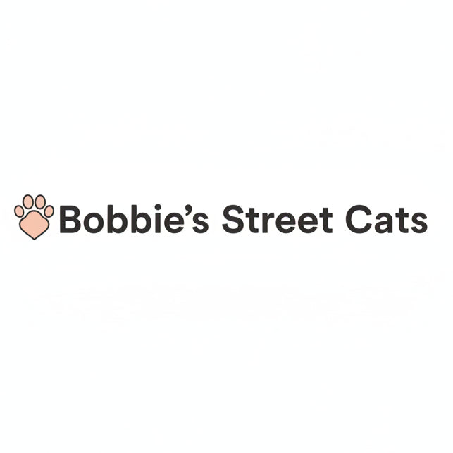 A logo-style graphic reading 'Bobbie's Street Cats' in dark gray text with a pale pink paw print icon on the left, on a light gray background.