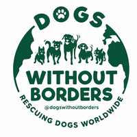 Dogs Without Borders logo