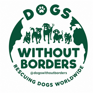 Dogs Without Borders logo