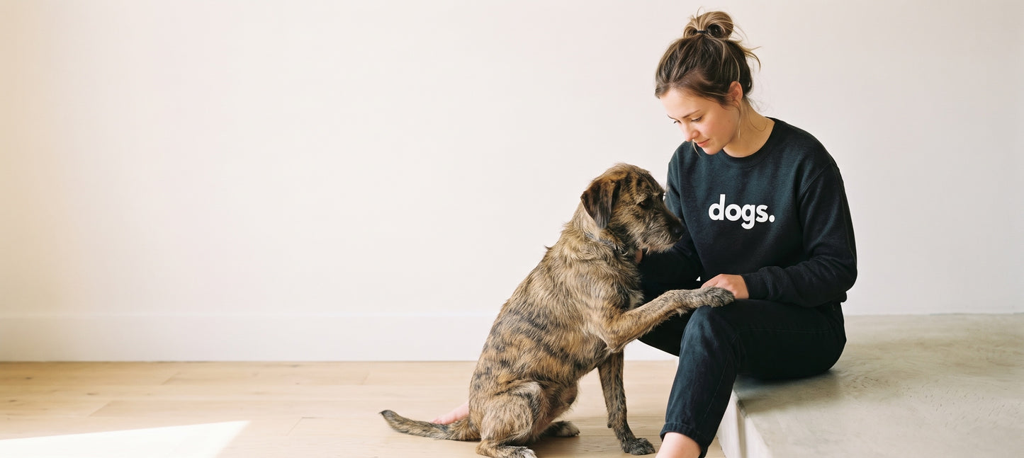 A woman sits on a wooden floor in a minimalist room, petting a brindle dog. She is wearing a black long-sleeve crewneck sweatshirt with the word 'dogs.