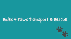 Rides 4 Paws Rescue logo