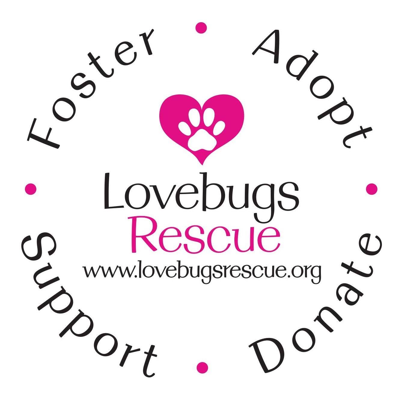 Lovebugs Rescue Logo